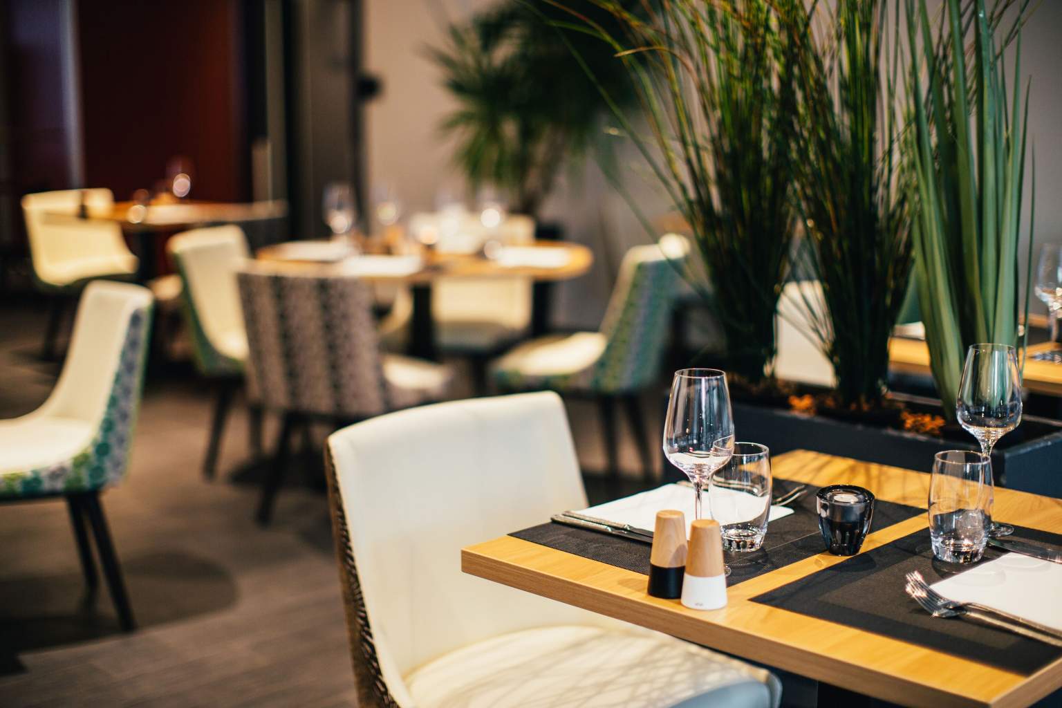 رستوران خوب نزدیک من در زنجان